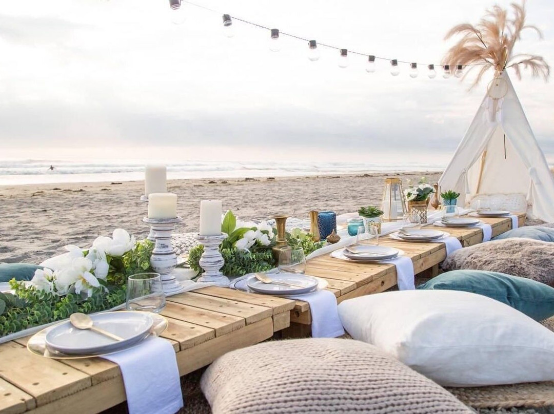 SunnyGraze SRQ-萨拉索塔必去景点