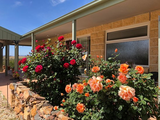 HEATHCOTE VIEWS Luxury Bed & Breakfast主图