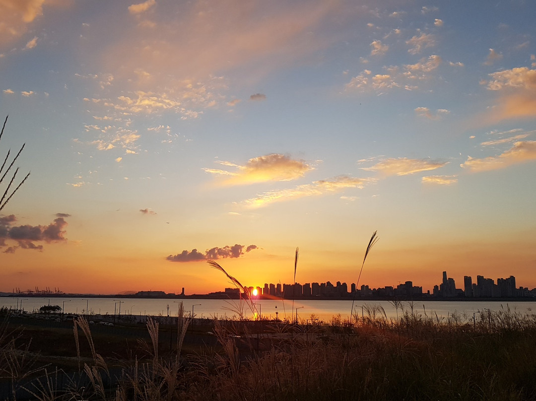 始兴市旅游景点-Baegot Life Park