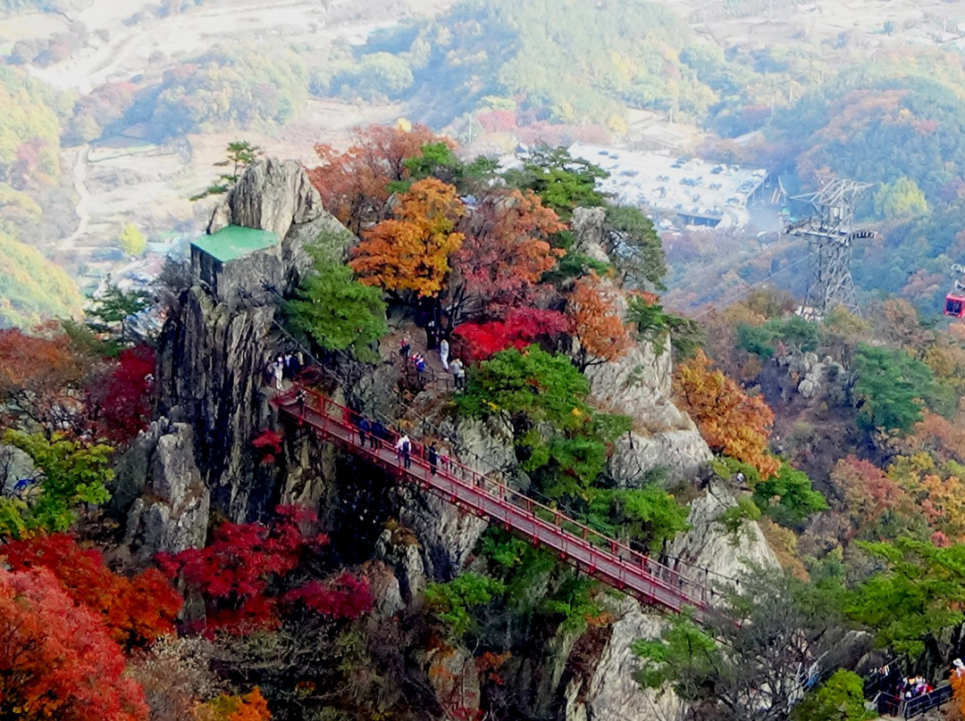 World Heritage Network