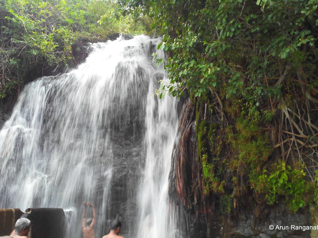 Agasthiyar Falls景点图片