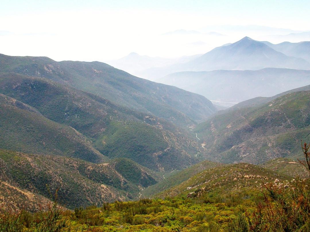 Otay Mountain Wilderness Area景点图片