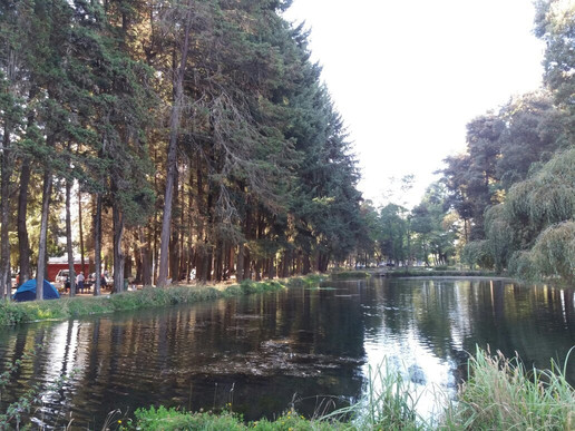 Lautaro旅游攻略图片