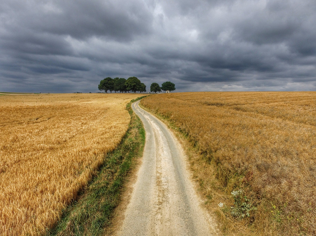 Courcelette British Cemetery景点图片