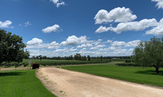 Two Rivers Wines-Denman必去景点