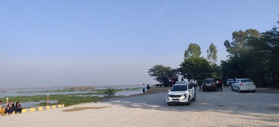 Harike Wetland and Bird Sanctuary-阿姆利则必去景点