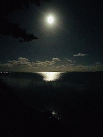 Bay 10 Accommodation主图