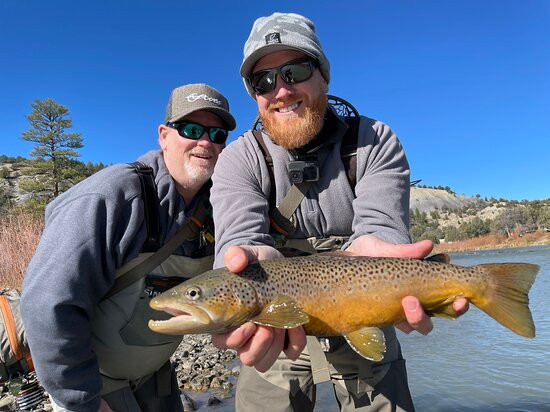 About Trout Fly Fishing-Chama必去景点