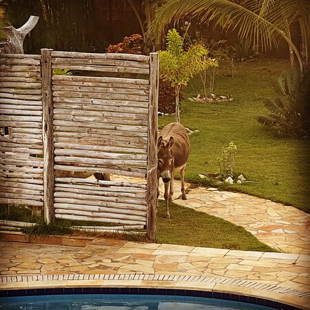 7 Beaufort Brasil主图