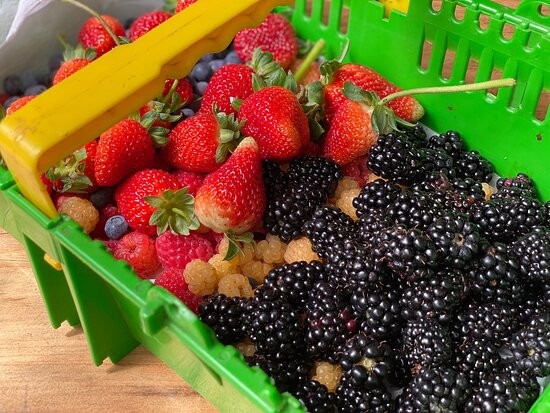 Viveiro Frutopia-Sao Bento do Sapucai必去景点