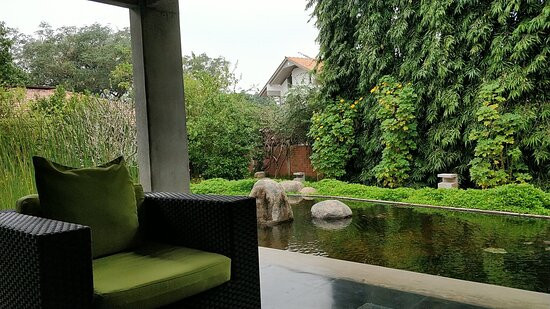 Temple Tree Retreat主图
