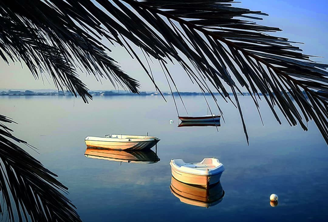 Laguna dei Fenici主图