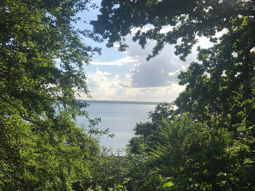 Pålsjö skog-赫尔辛堡必去景点
