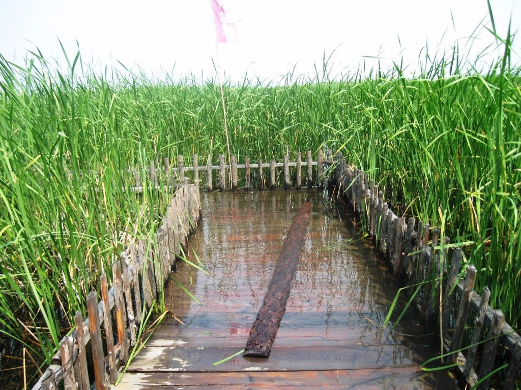 鹤鸣湖湿地温泉风景区景点图片