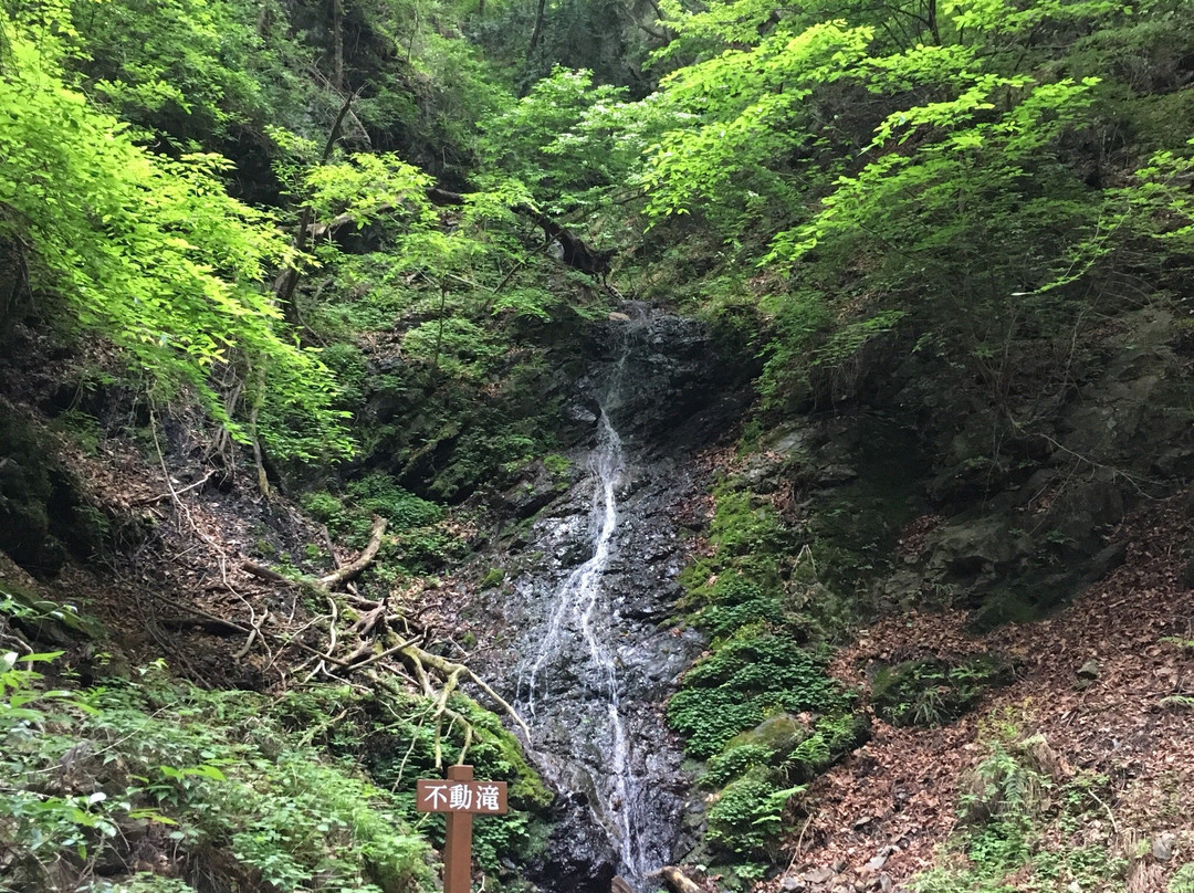 Bukozan no Fudo Falls景点图片