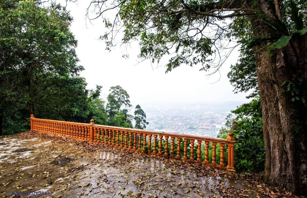 Bukit Pelindung Recreational Forest景点图片