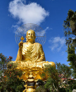 大叻金佛像景点门票图片