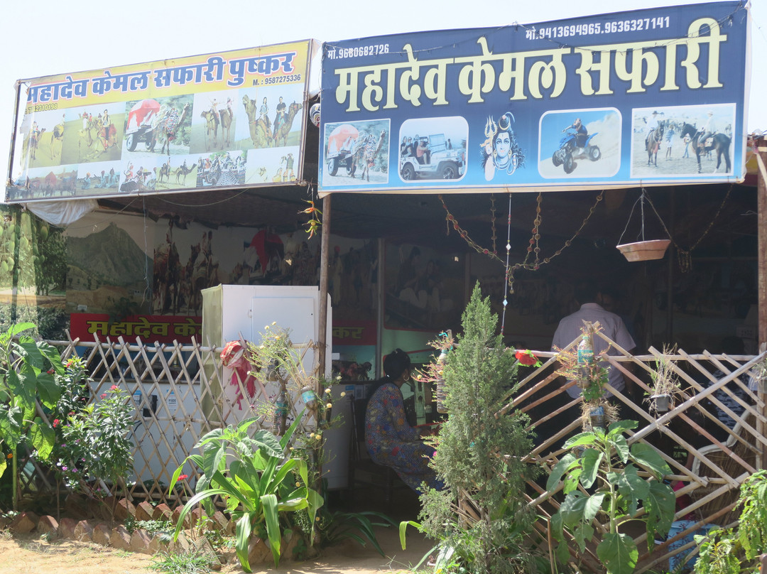 Mahadev Camel Safari景点图片