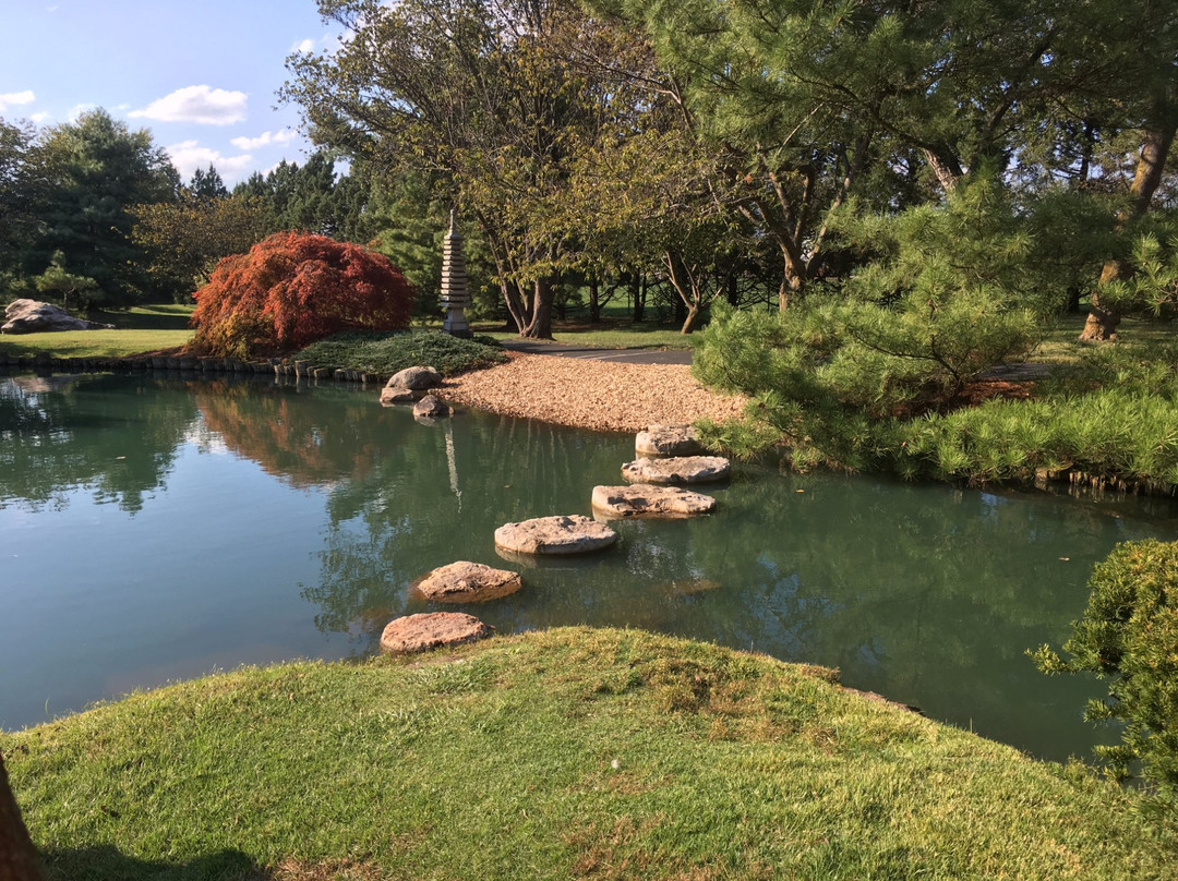 null-斯普林菲尔德