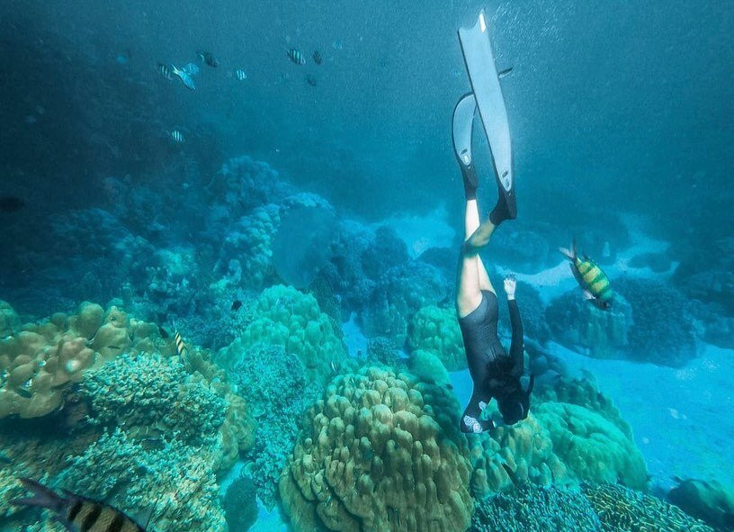 Adang Island Resort主图
