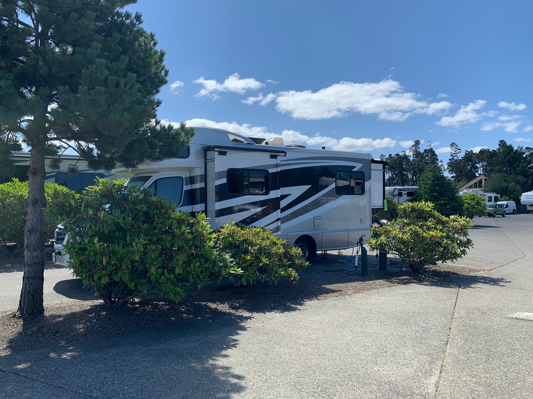 Pacific Pines RV Park
