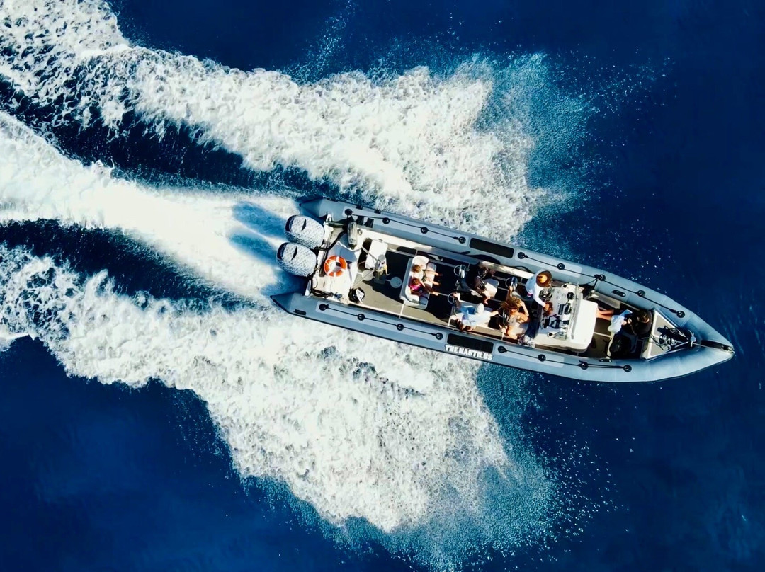 Captain Max Boat Tours