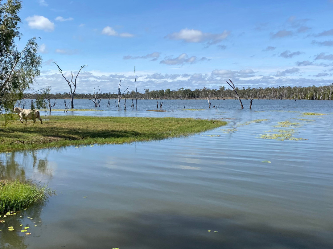 Mount Garnet - Wurruma Swamp