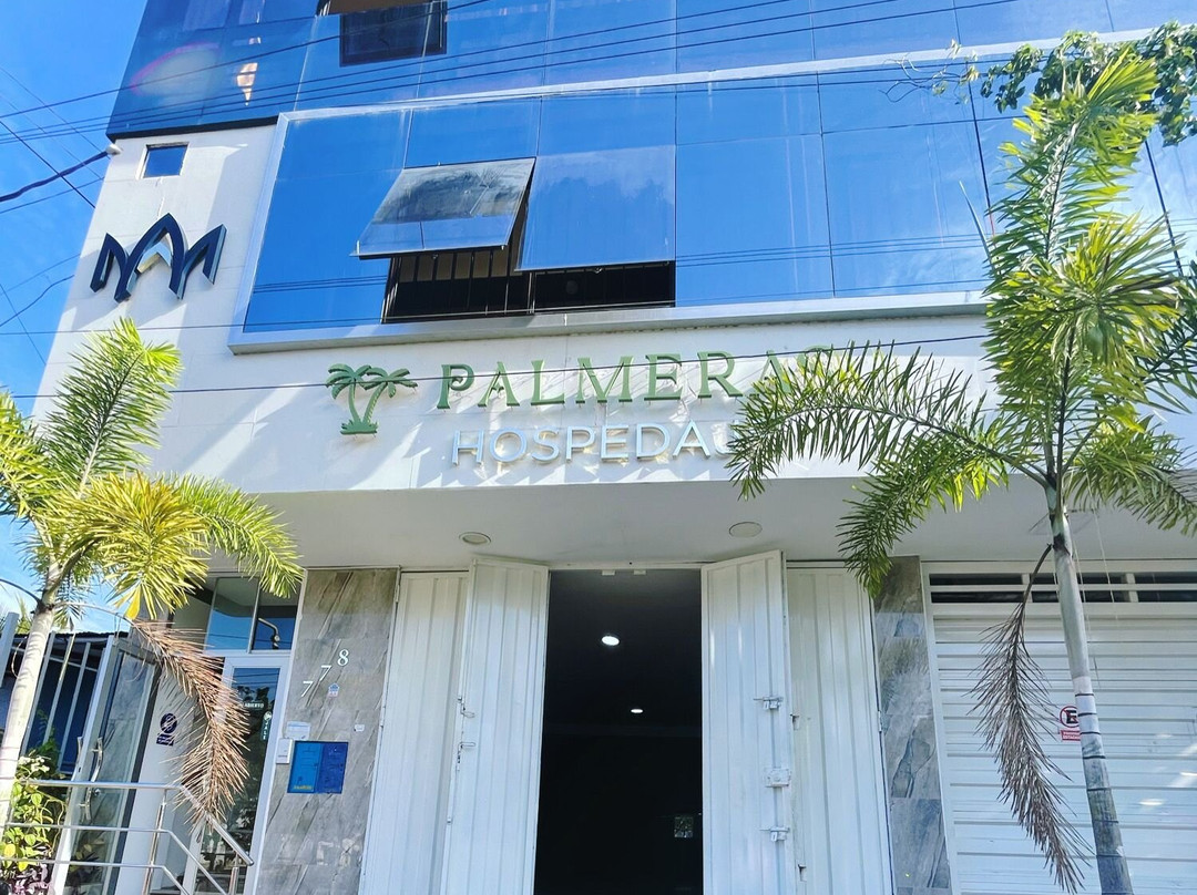 Palmeras