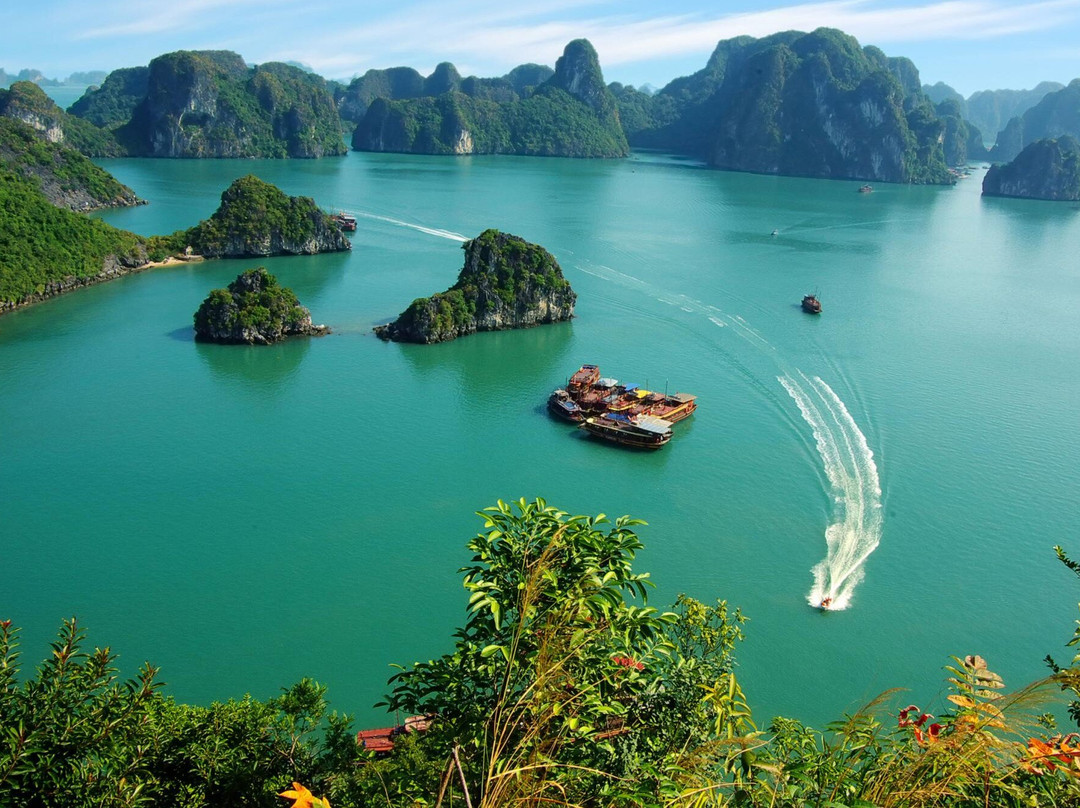 Halong Bay Cruises景点图片