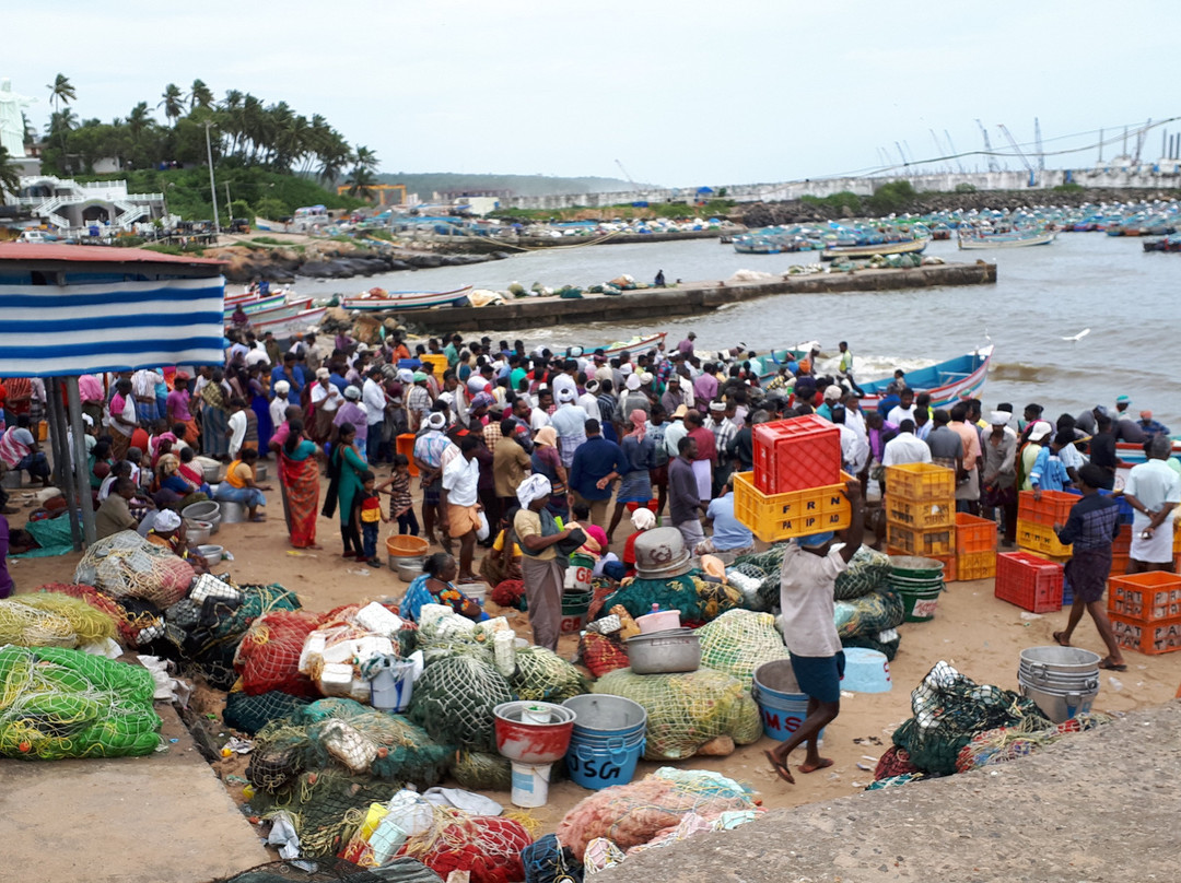 Kovalam Fish Market景点图片