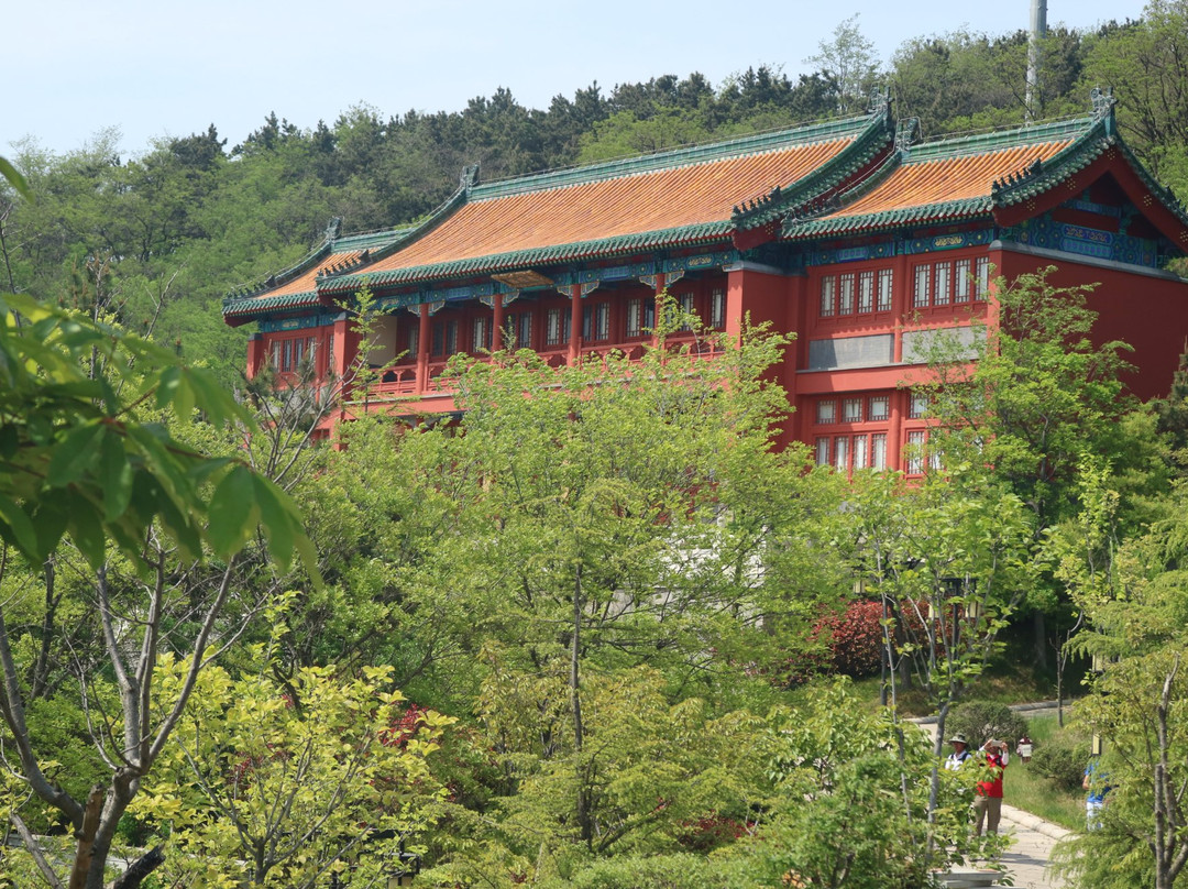 山东珠山国家森林公园-青岛市必去景点