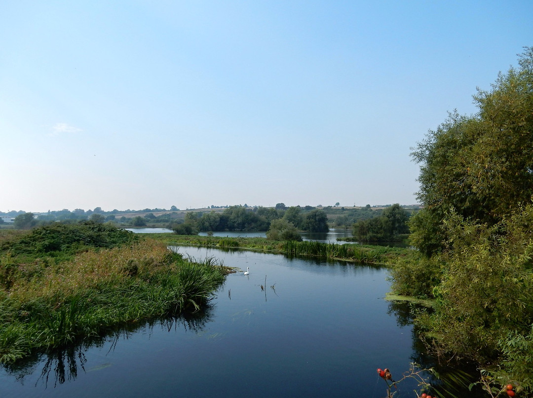 Stanwick Lakes景点图片