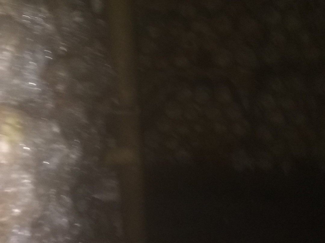 Rumah Makan Dunia Baru