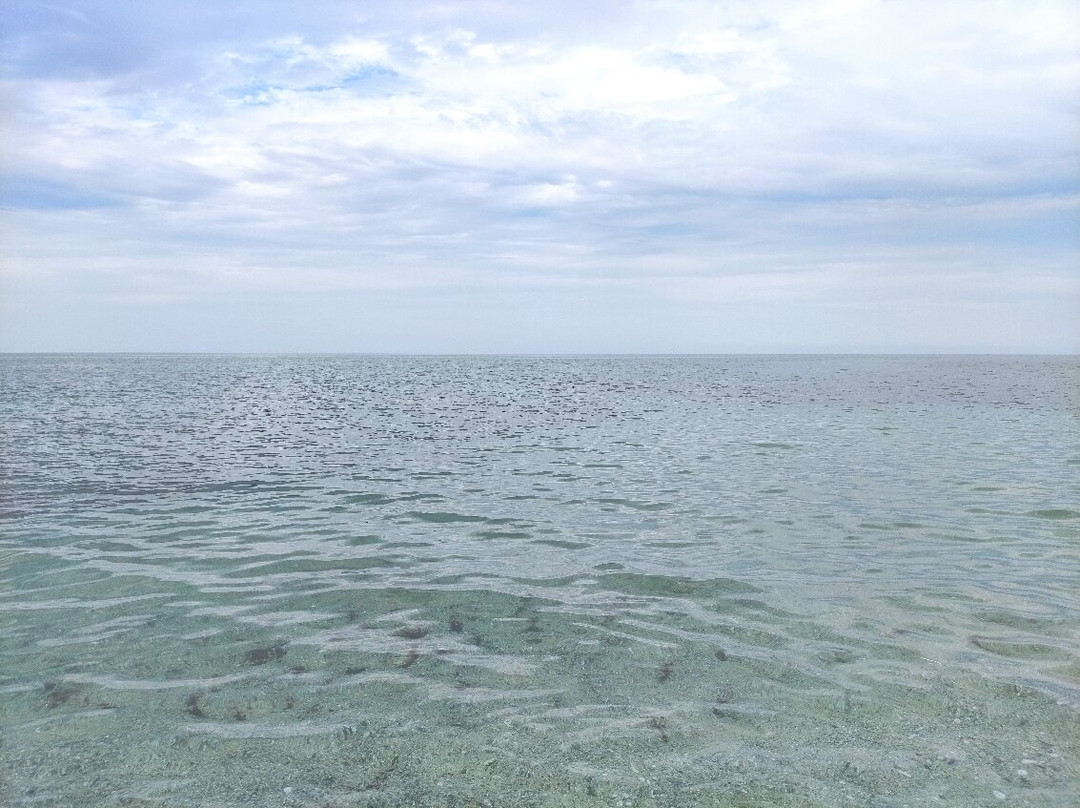 Spiaggia e Pineta Salamaghe