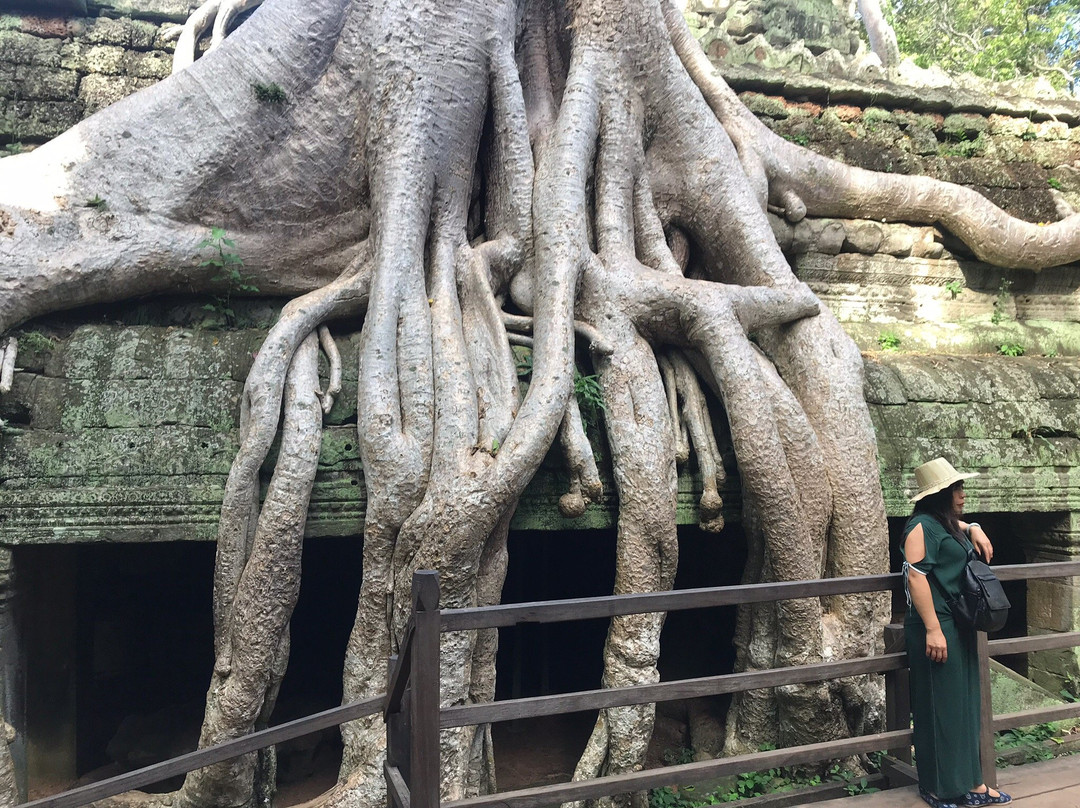 Chea Angkor Wat Drivers景点图片