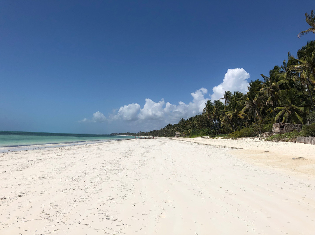 Bwejuu Beach-必韦久必去景点