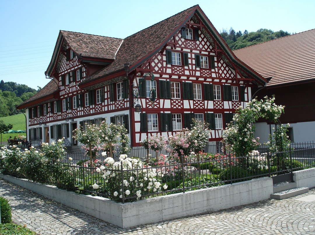 Sulgen餐馆和美食-Restaurant Mühle Schönenberg