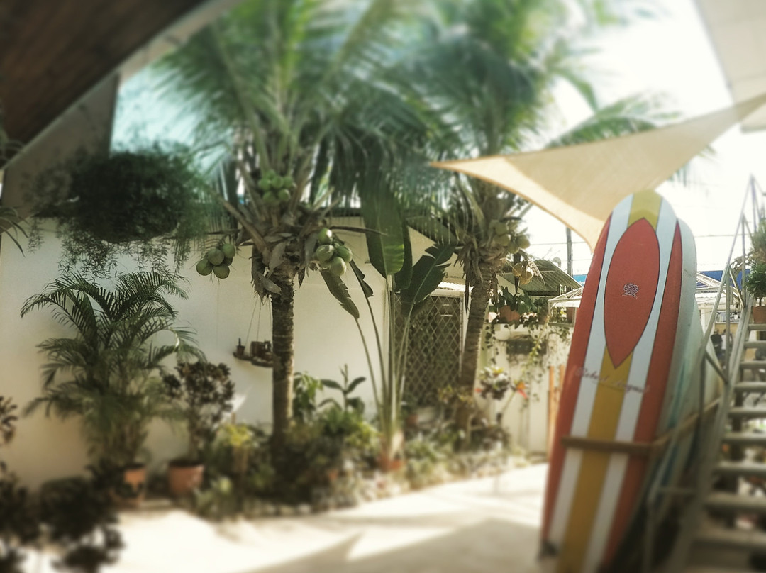 Cocobolo Surf Hotel & School主图