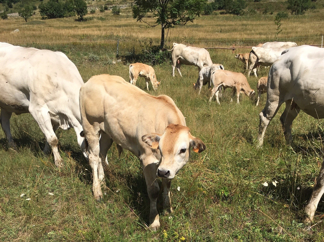 Terme di Vinadio-Vinadio必去景点