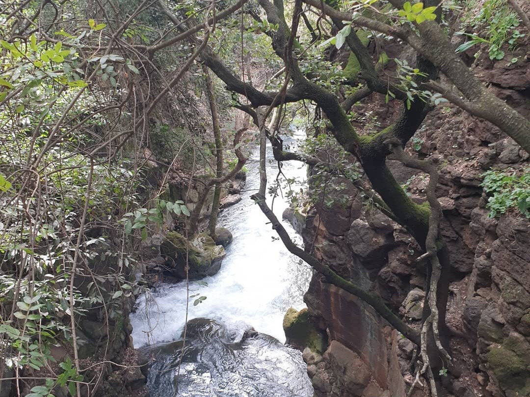 Hermon Stream Nature Reserve-Merom Golan必去景点