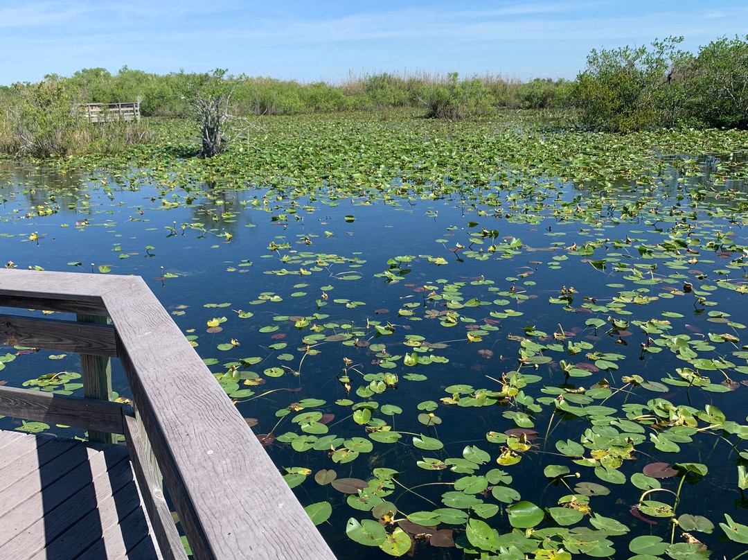 Everglades National Park-佛罗里达城必去景点