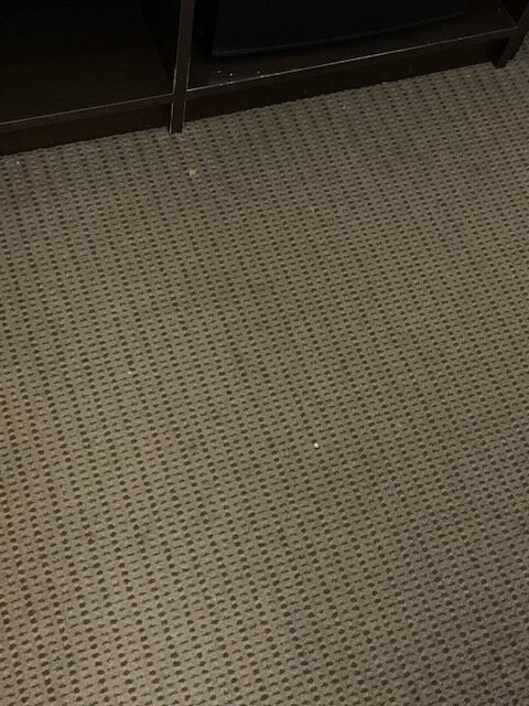 Garner Hotel Clarksville Northeast by IHG-官方