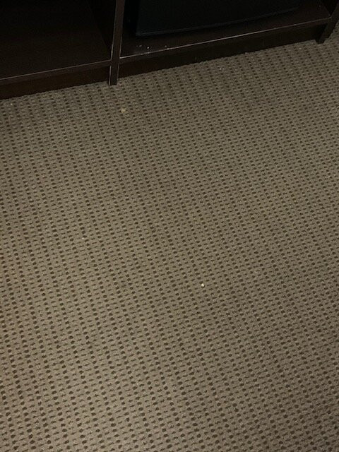 Garner Hotel Clarksville Northeast by IHG主图