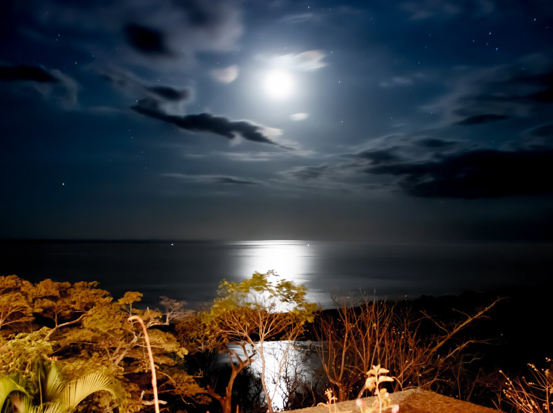 Hotel Boutique Lagarta Lodge主图