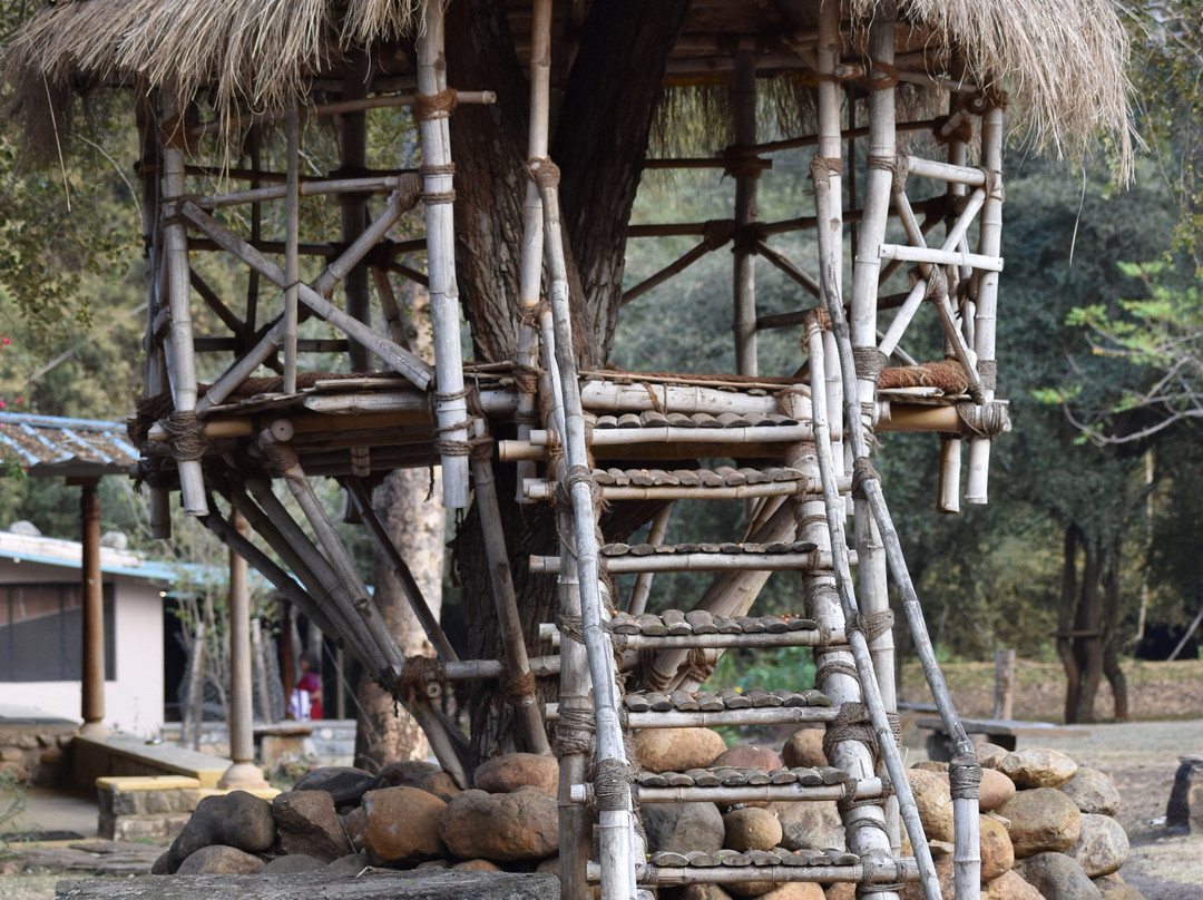 丛林小屋酒店主图