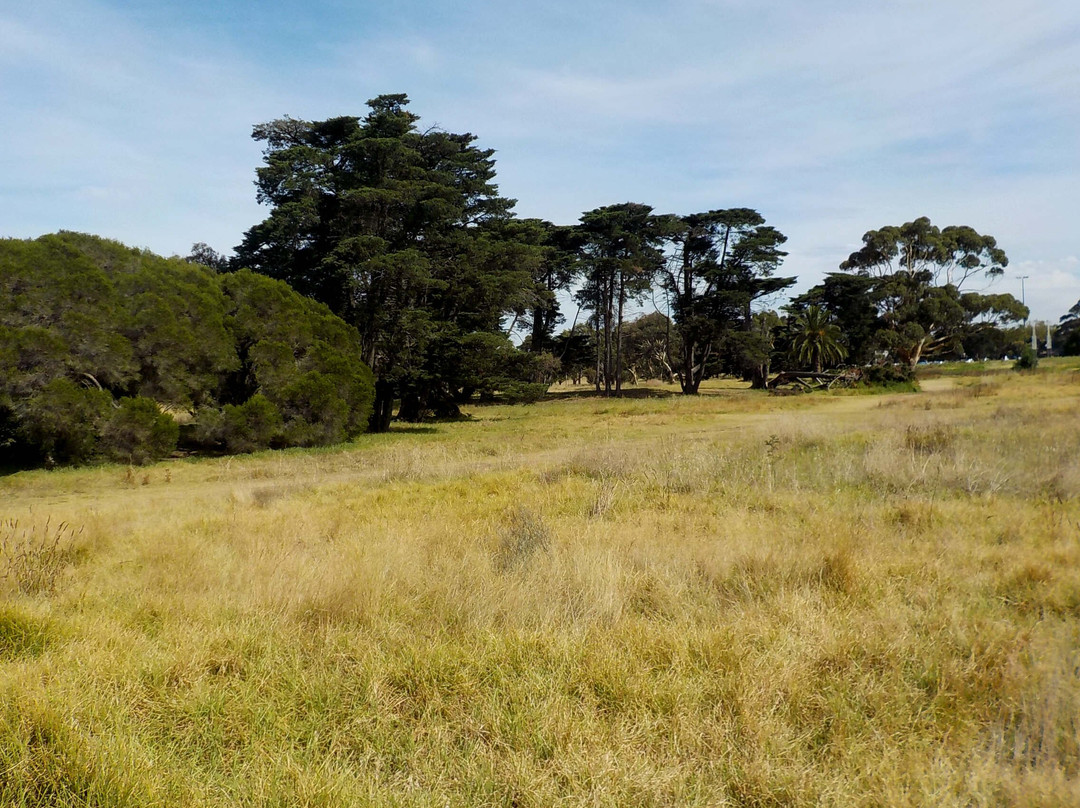 Elsternwick Park Nature Reserve景点图片