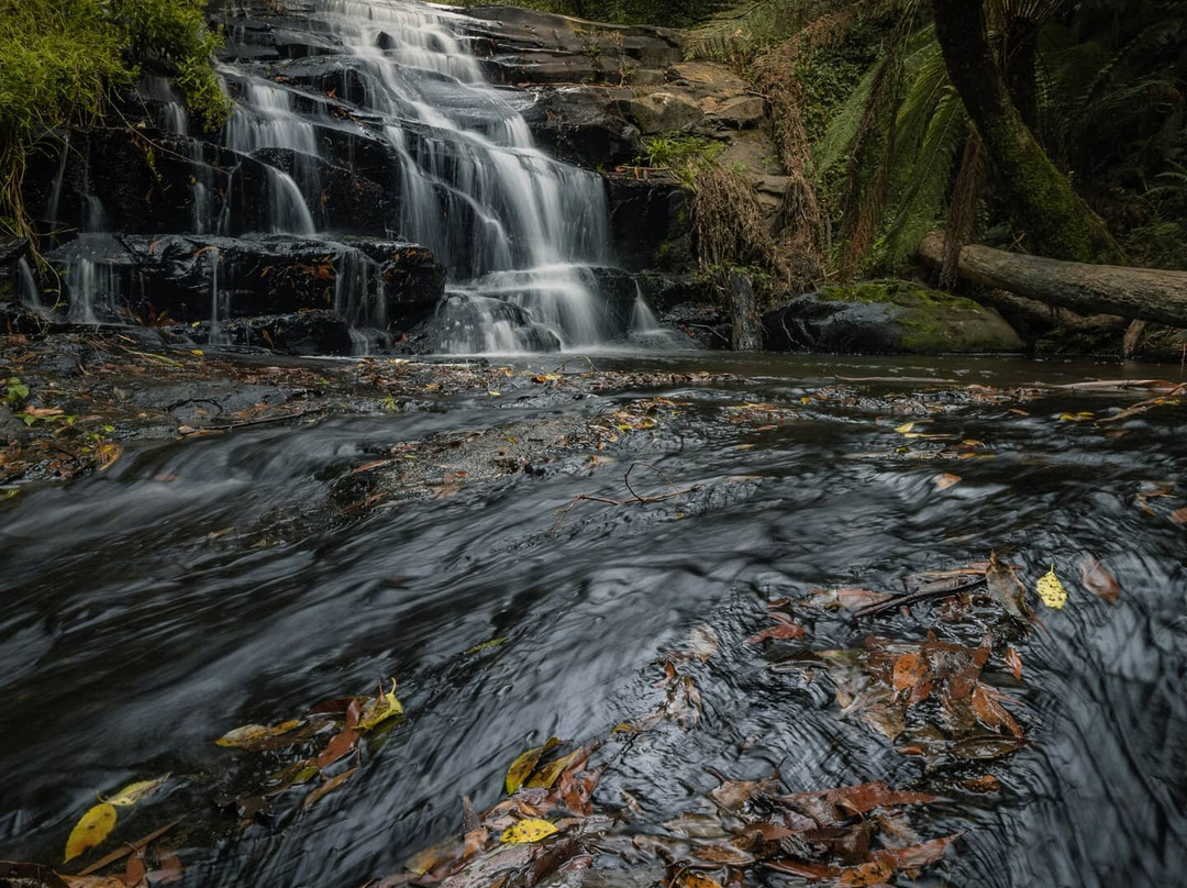 Cora Lynn Cascades Walk-洛恩必去景点