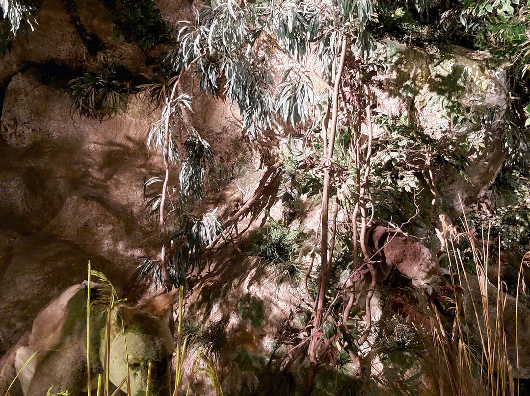 Wonambi Fossil Centre-Naracoorte必去景点