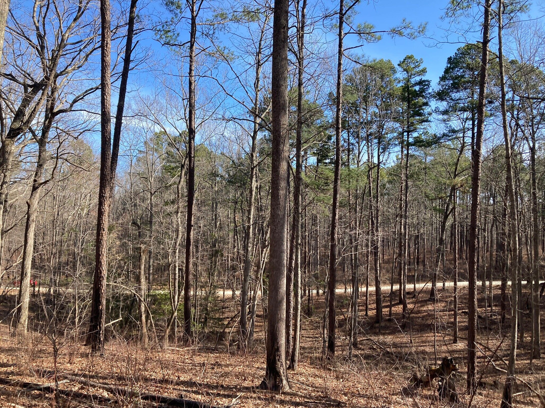Uwharrie National Forest景点图片