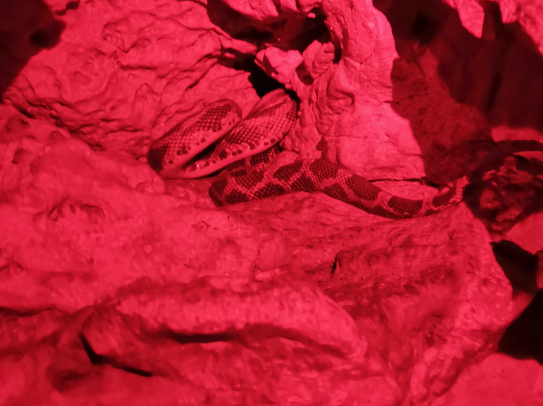 KOOKAY TOURS-巴利亚多利德必去景点